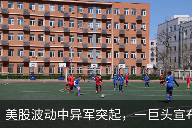 美股波动中异军突起，一巨头宣布数十亿AI合同